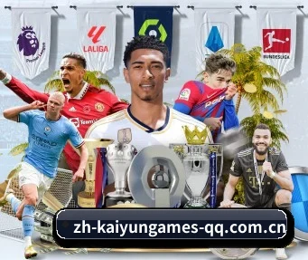 开云体育 APP - KAIYUN SPORTS